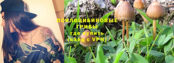 кокаин премиум Заводоуковск