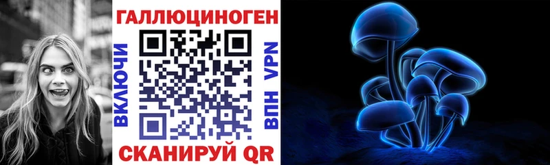 Псилоцибиновые грибы мицелий  Купить  Катайск 